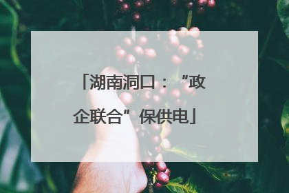 湖南洞口：“政企联合”保供电